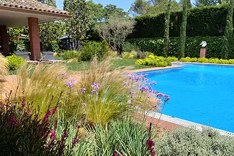 Diseño de jardines con zonas frondosas