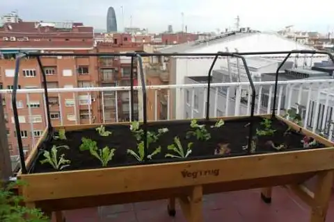 Mesa de cultivo Vegtrug recién plantada en una terraza de Barcelona