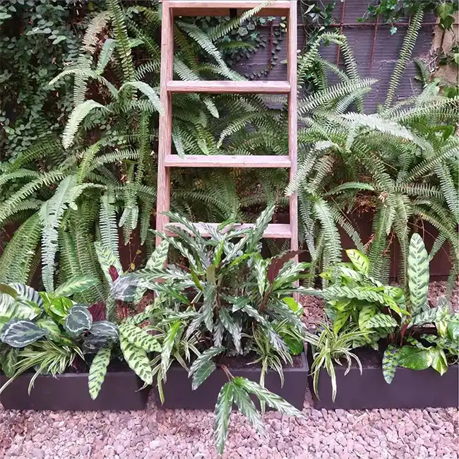 Jardinera con plantas de sombra y escalera decorativa en una terraza
