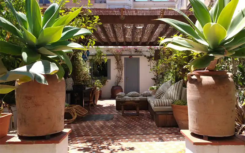 Terrace with pergola, sofas and large pots with agaves in Barcelona