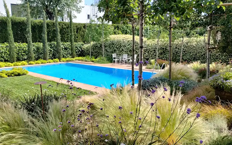 Jardín con piscina, césped y gramíneas en Sant Cugat