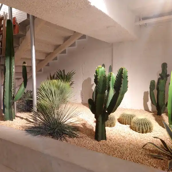 Cactus y gramíneas en el jardín seco interior de una tienda Carhartt