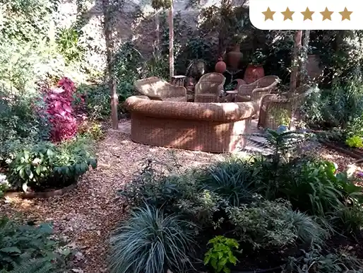 Rincón de jardín sombreado con sofá de exterior y plantas mediterráneas
