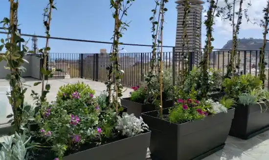 Jardineras con flores y trepadoras en la terraza de un aparthotel de Barcelona