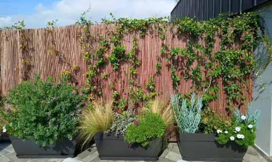 Jardineras con gramíneas, aromáticas y flores ante un cañizo en una terraza