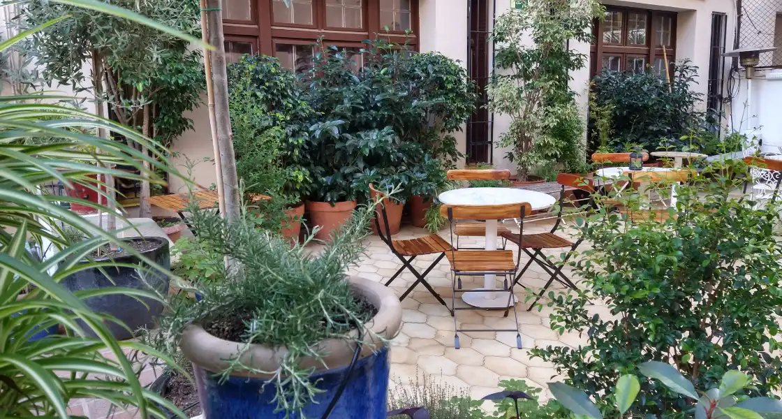Jardinería para terrazas de bares y restaurantes en Barcelona, para crear un ambiente relajante para sus clientes