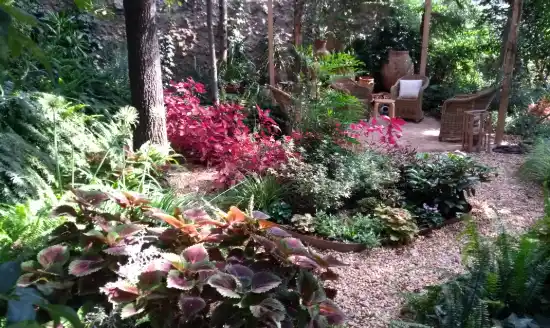 Jardín de sombra terminado con coleos, helechos y zona de estar