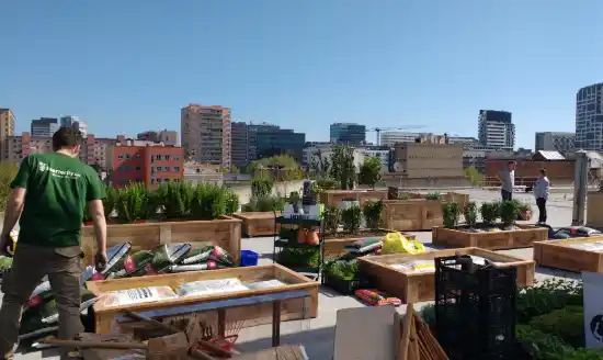 Green Thumb: huerto urbano para un anuncio