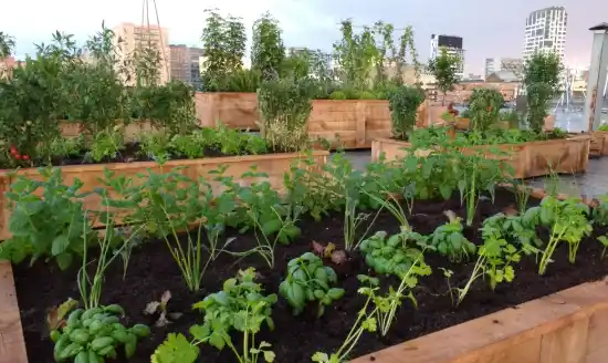 Green Thumb: huerto urbano para un anuncio