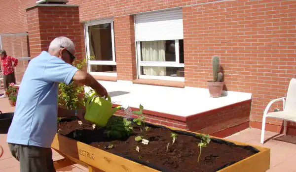 Residente regando el huerto elevado de su residencia