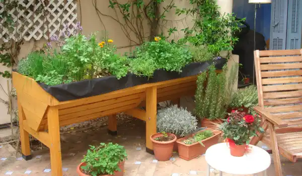Mesa de cultivo Vegtrug con hortalizas y aromáticas en una terraza de Barcelona
