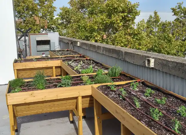 Mesas de cultivo Vegtrug instaladas en una azotea de Barcelona