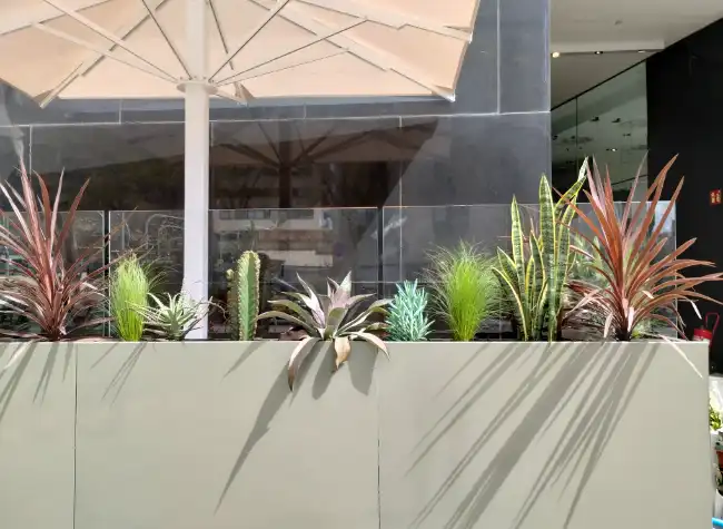 Jardinería para cafeterías y bares