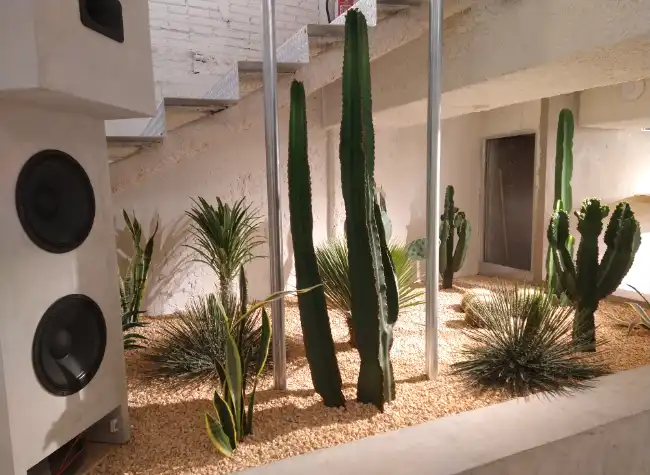 Jardín seco con cactus y gramíneas en la tienda Carhartt de Barcelona