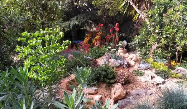 Rocalla con suculentas, euforbias y flores