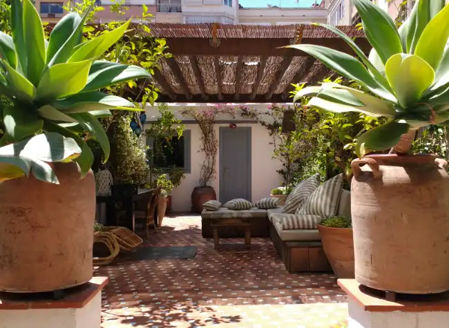 Terraza con pérgola y grandes macetas con agaves