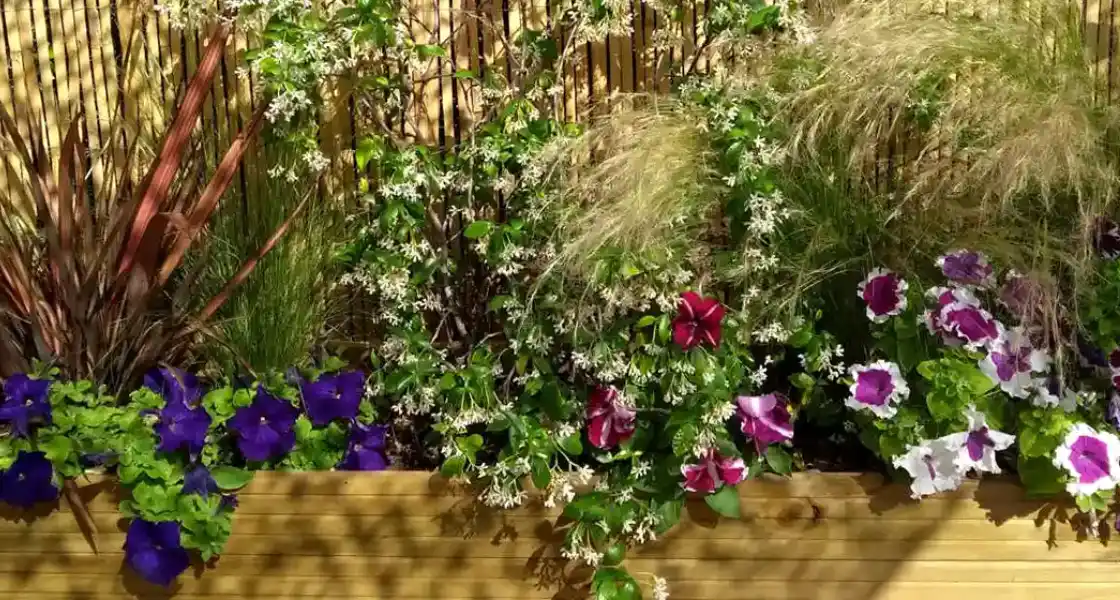 Jardinera de balcón con petunias, gramíneas y flores de temporada
