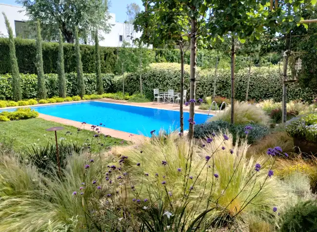 Diseño de un jardín con piscina, árboles y gramíneas en Valldoreix