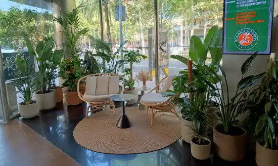 Plantas de interior en el vestíbulo del hotel Four Points by Sheraton de Barcelona