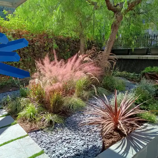 Jardín renovado con gramíneas rosadas, cordylines y grava