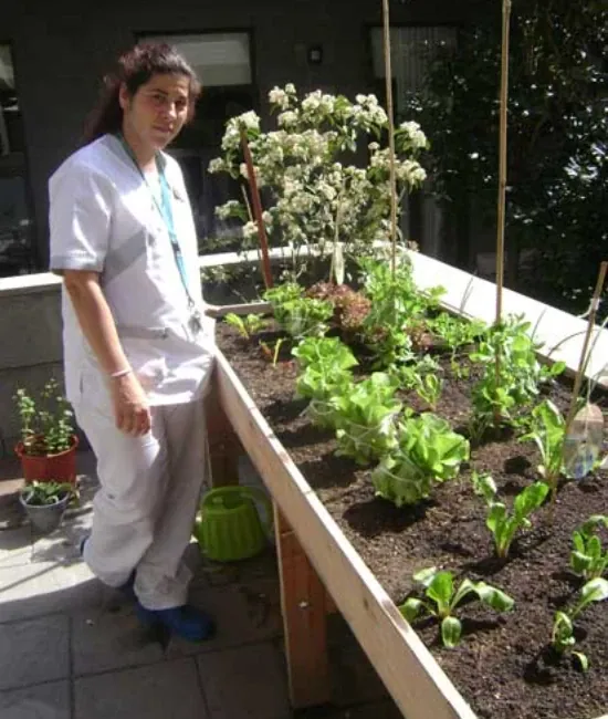 Terapeuta cuidando el huerto elevado de una residencia de mayores