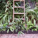 Jardinera de terraza de hotel con plantas de sombra y una escalera decorativa