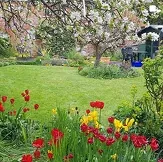 Jardín con césped y tulipanes rojos y amarillos en primavera